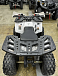 Квадроцикл PROMAX WILD 2.0 190 в Пушкино