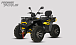Квадроцикл PROMAX TAURUS 300 MAX-PRO LONG в Пушкино